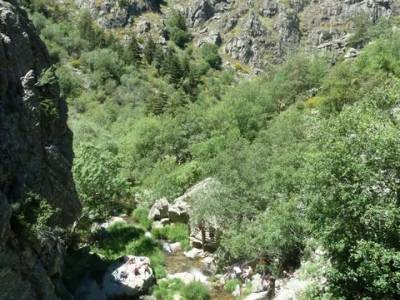 Senderismo valle Río Lozoya - Río Aguilón y Cascada del Purgatorio; excursiones desde; escalada